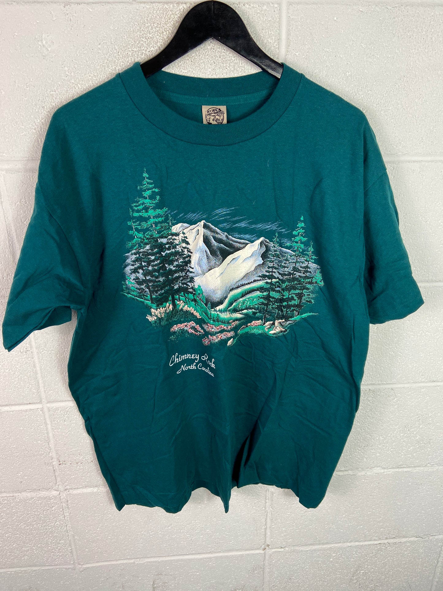 VTG Chimney Rock North Carolina Nature Tee Sz XL