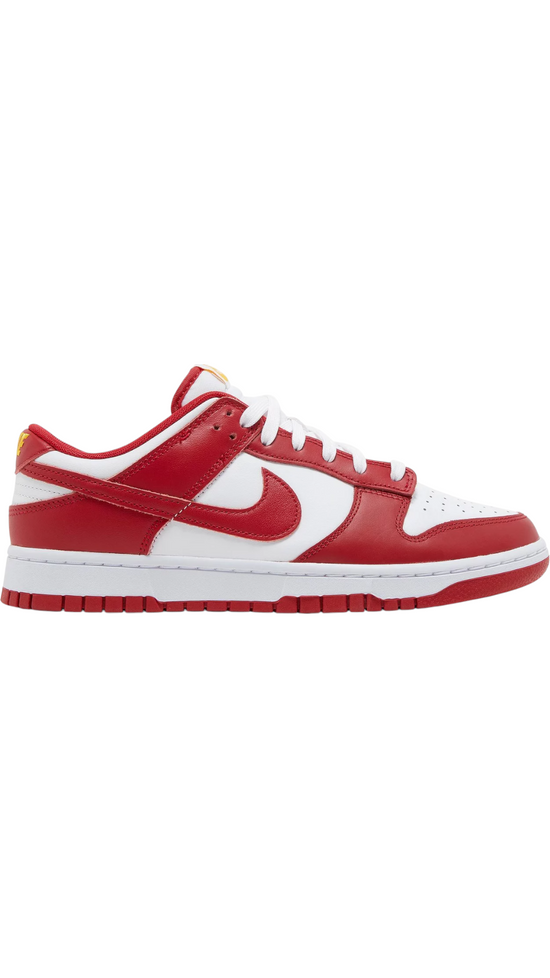 Nike Dunk Low 'Gym Red' Sz 11.5M/13W DD1391-602