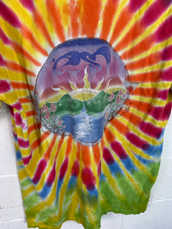 Grateful Dead Waterfall Print Tee Sz L