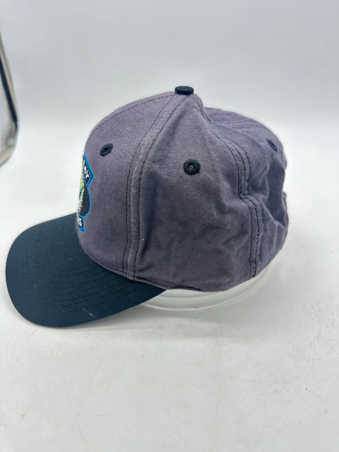 VTG Tampa Bay Devil Rays  Logo 7 Snapback