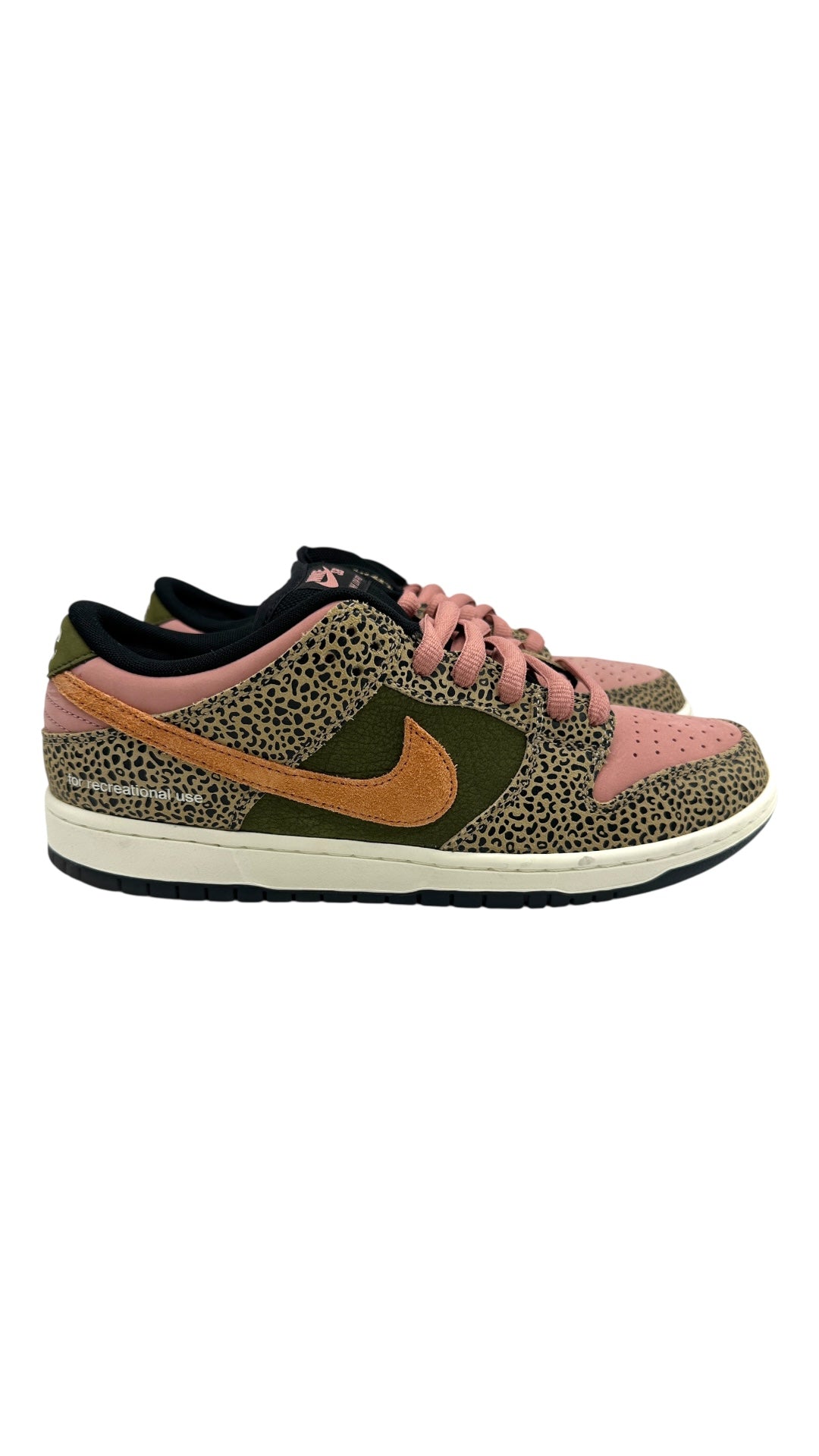 Preowned Nike SB Dunk Low Arts-Rec Sz 11M/12.5W IH3211-200