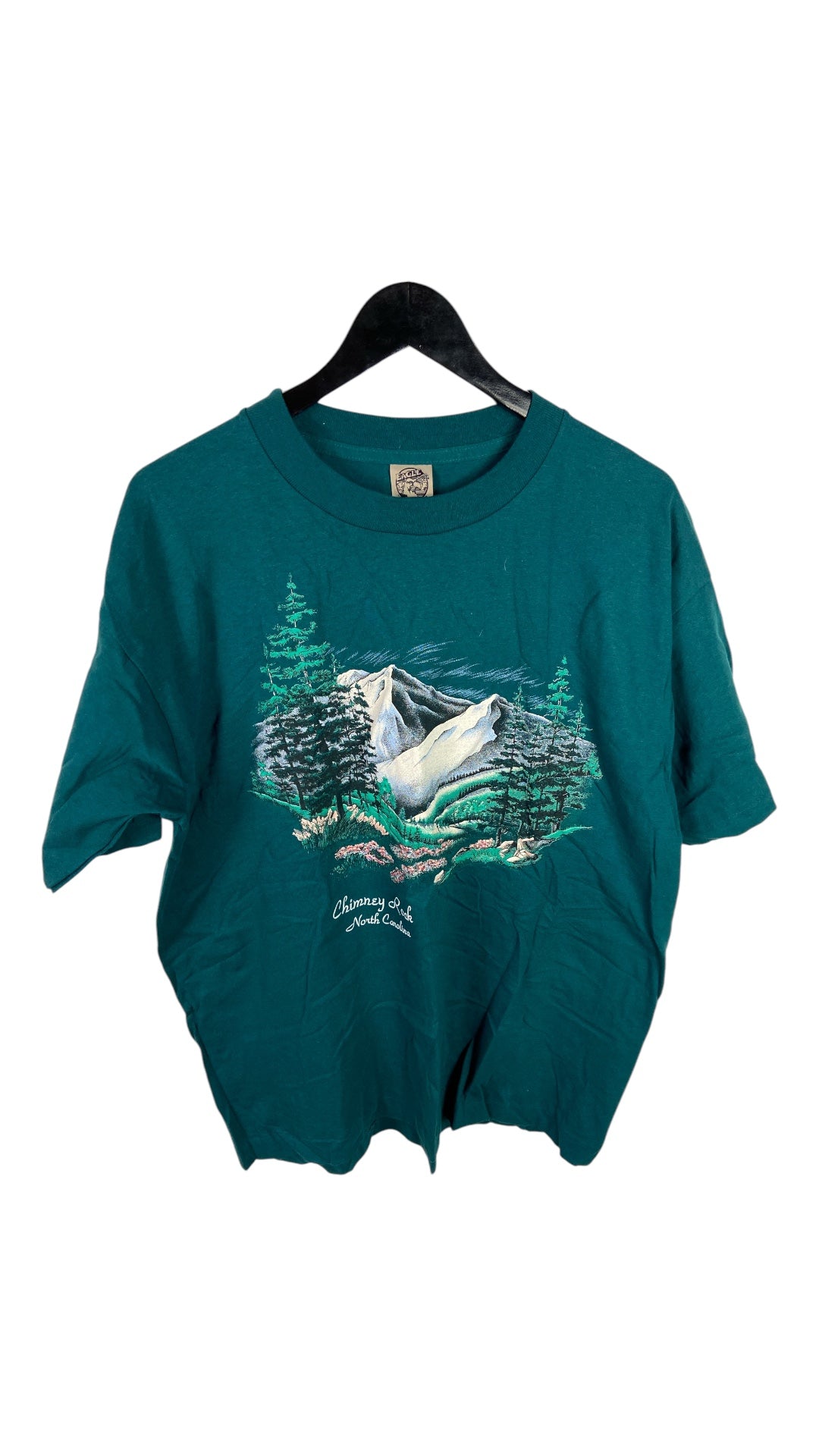 VTG Chimney Rock North Carolina Nature Tee Sz XL