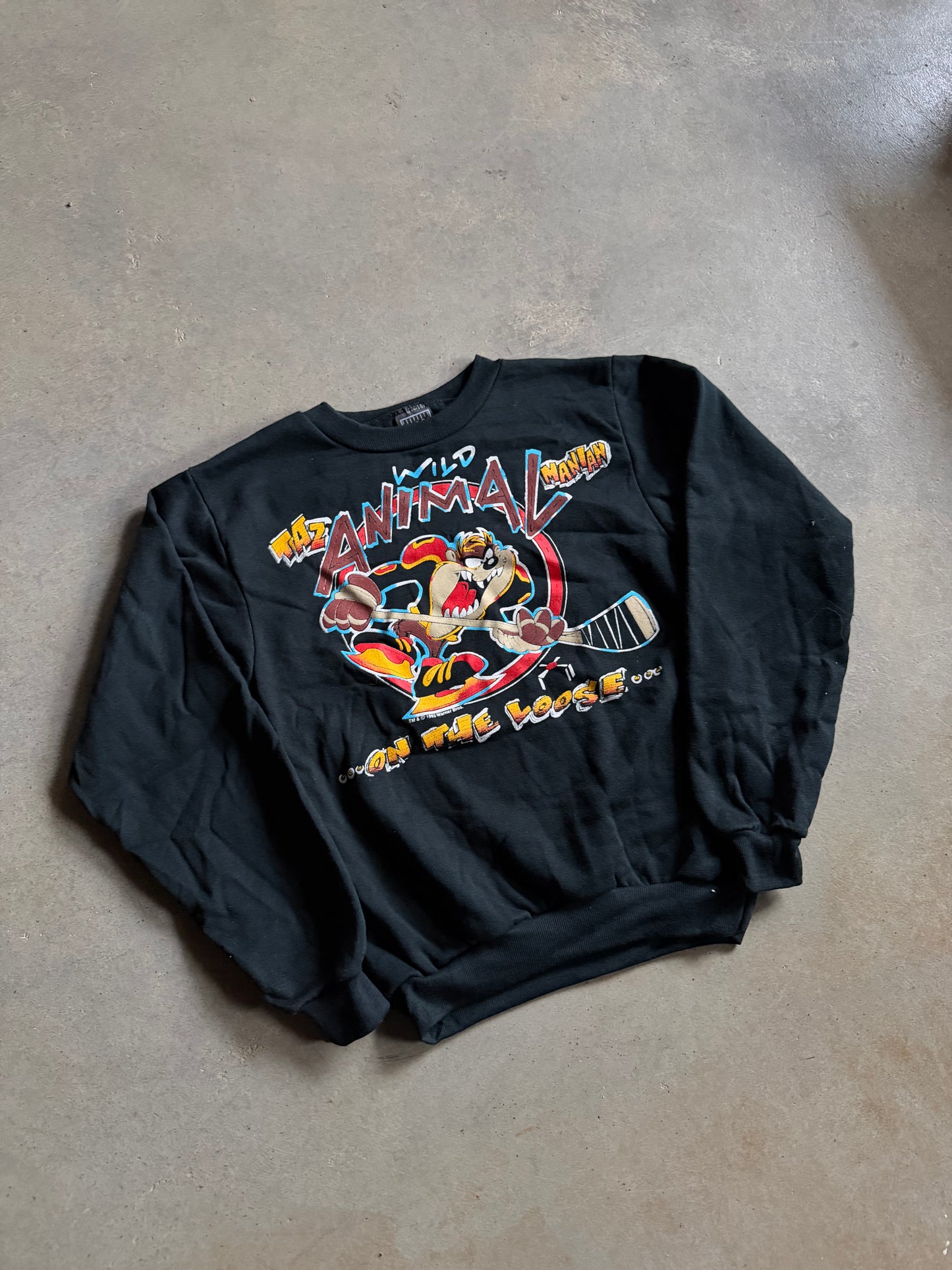 VTG Taz Tasmanian Devil Sweatshirt Sz Yth L