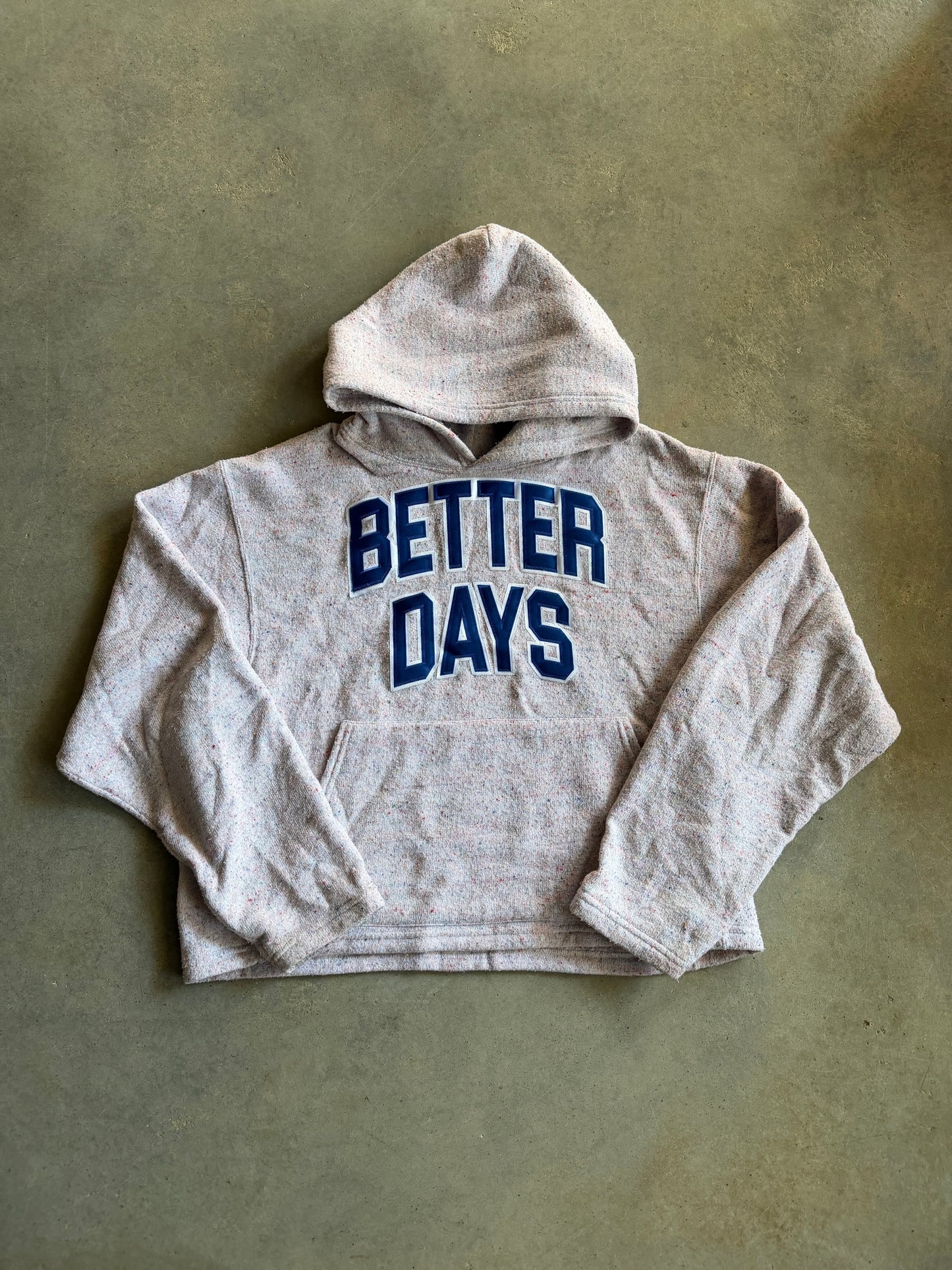 Saint Ramon Never Die Better Days Multicolor Cropped Hoodie Sz L/XL