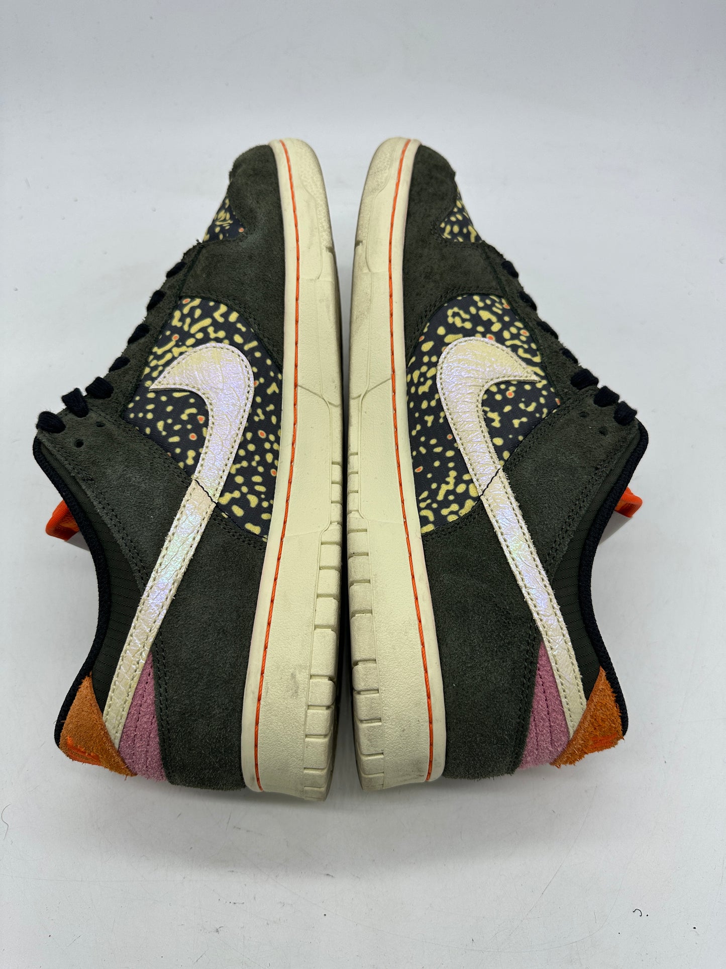 Preowned Nike Dunk Low SE Gone Fishing Rainbow Trout Sz 13M/14.5W FN7523-300