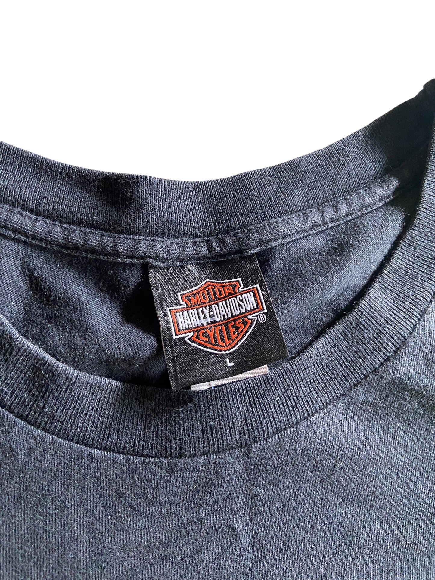 VTG Harley Davidson Alaska Tee Sz L