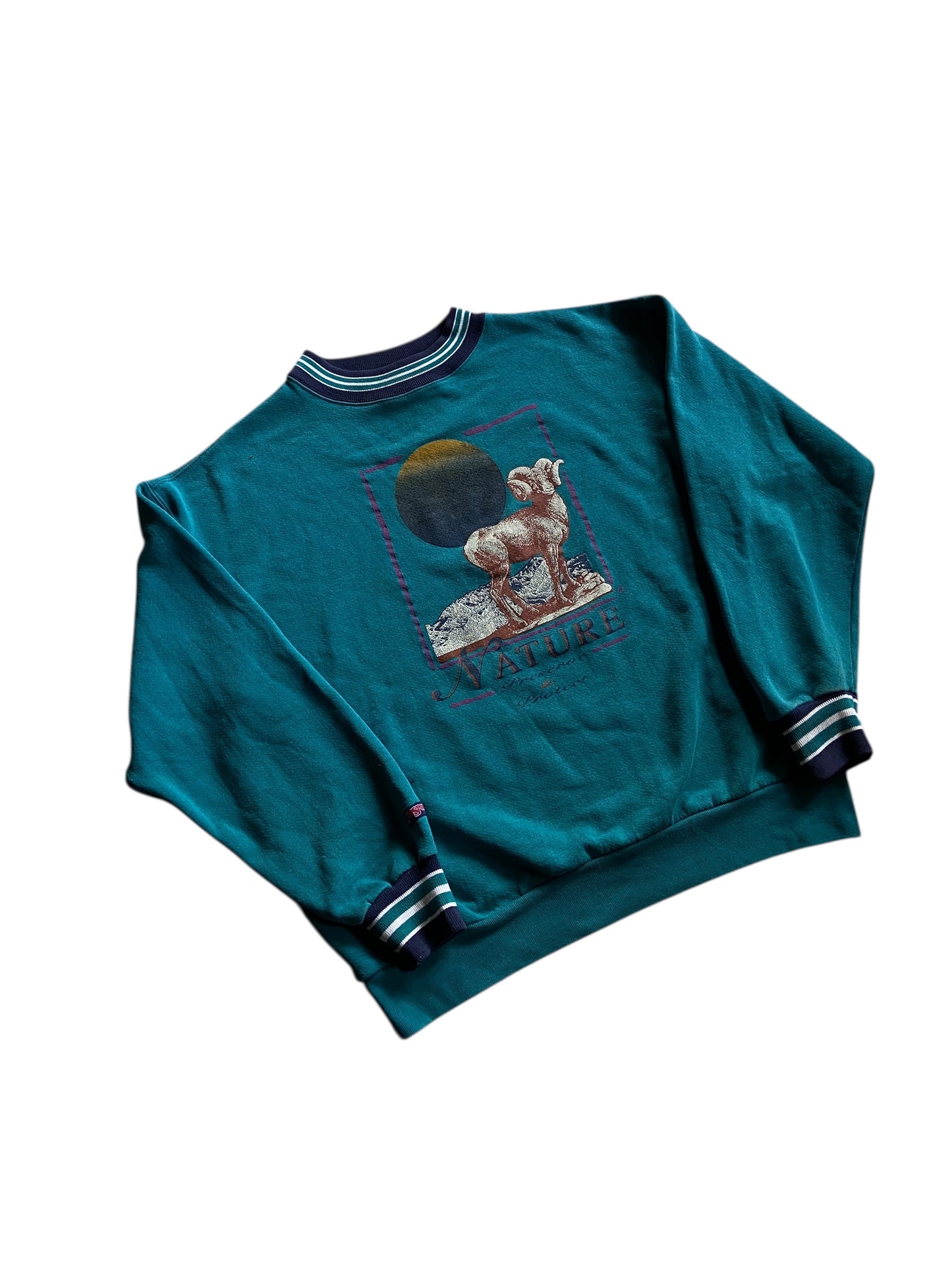 VTG Nature Preserve & Protect Teal Sweatshirt Sz XL