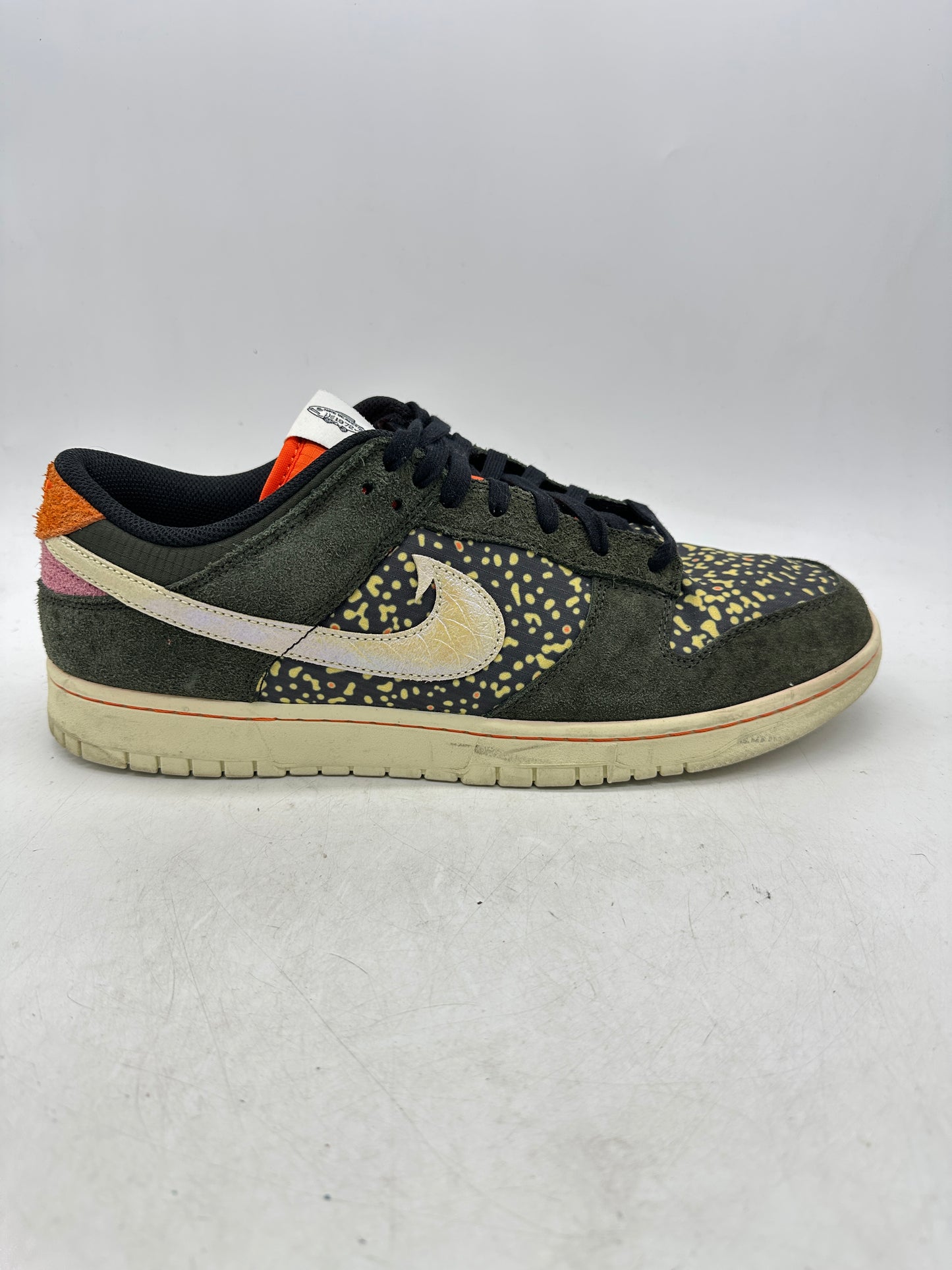 Preowned Nike Dunk Low SE Gone Fishing Rainbow Trout Sz 13M/14.5W FN7523-300