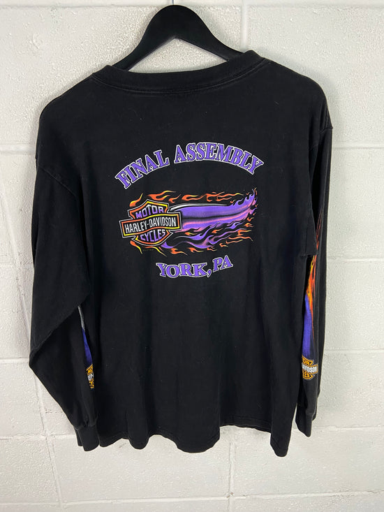 VTG Harley Davidson Soaring Eagles Graphic L/S Tee Sz L