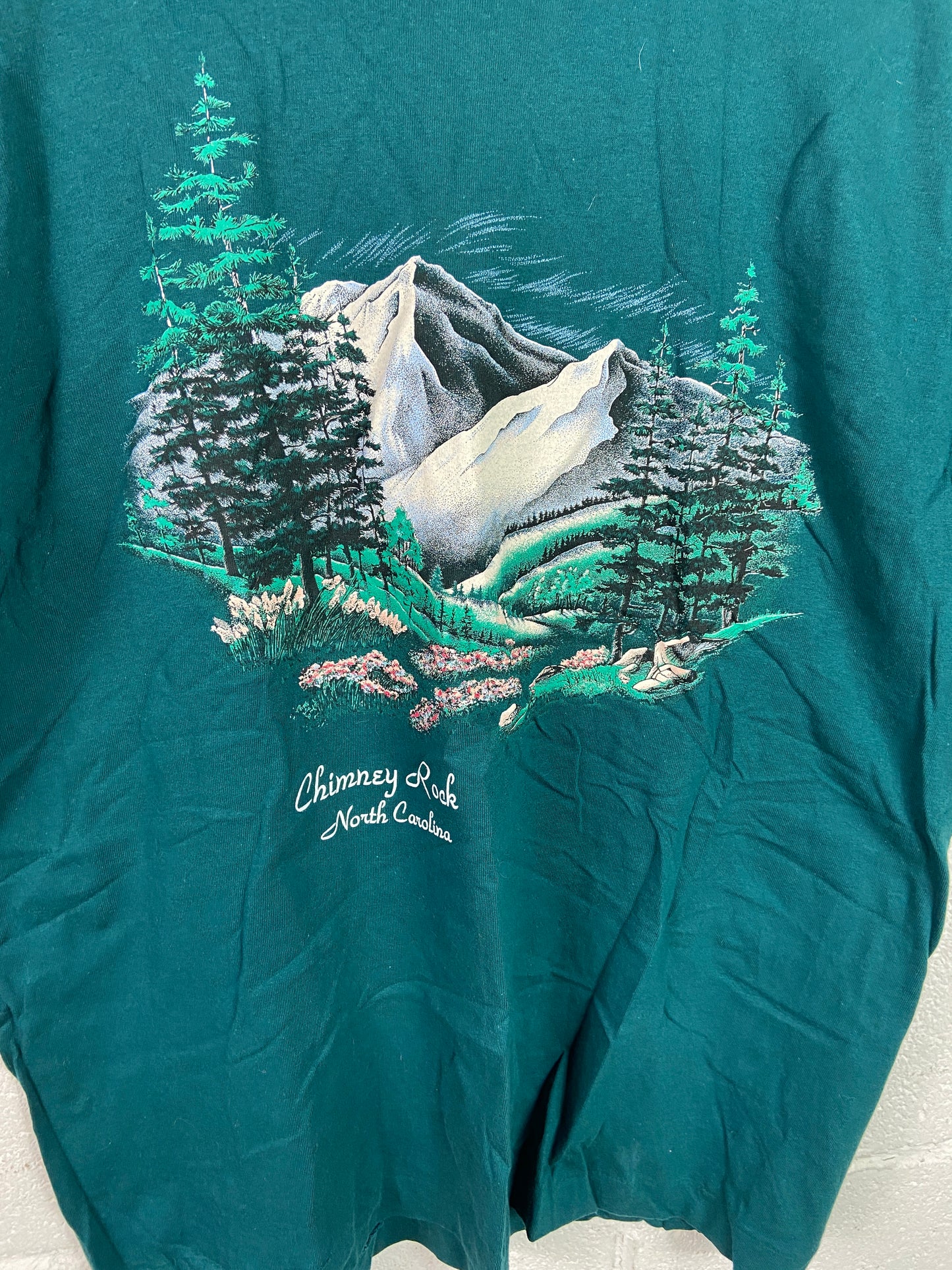 VTG Chimney Rock North Carolina Nature Tee Sz XL