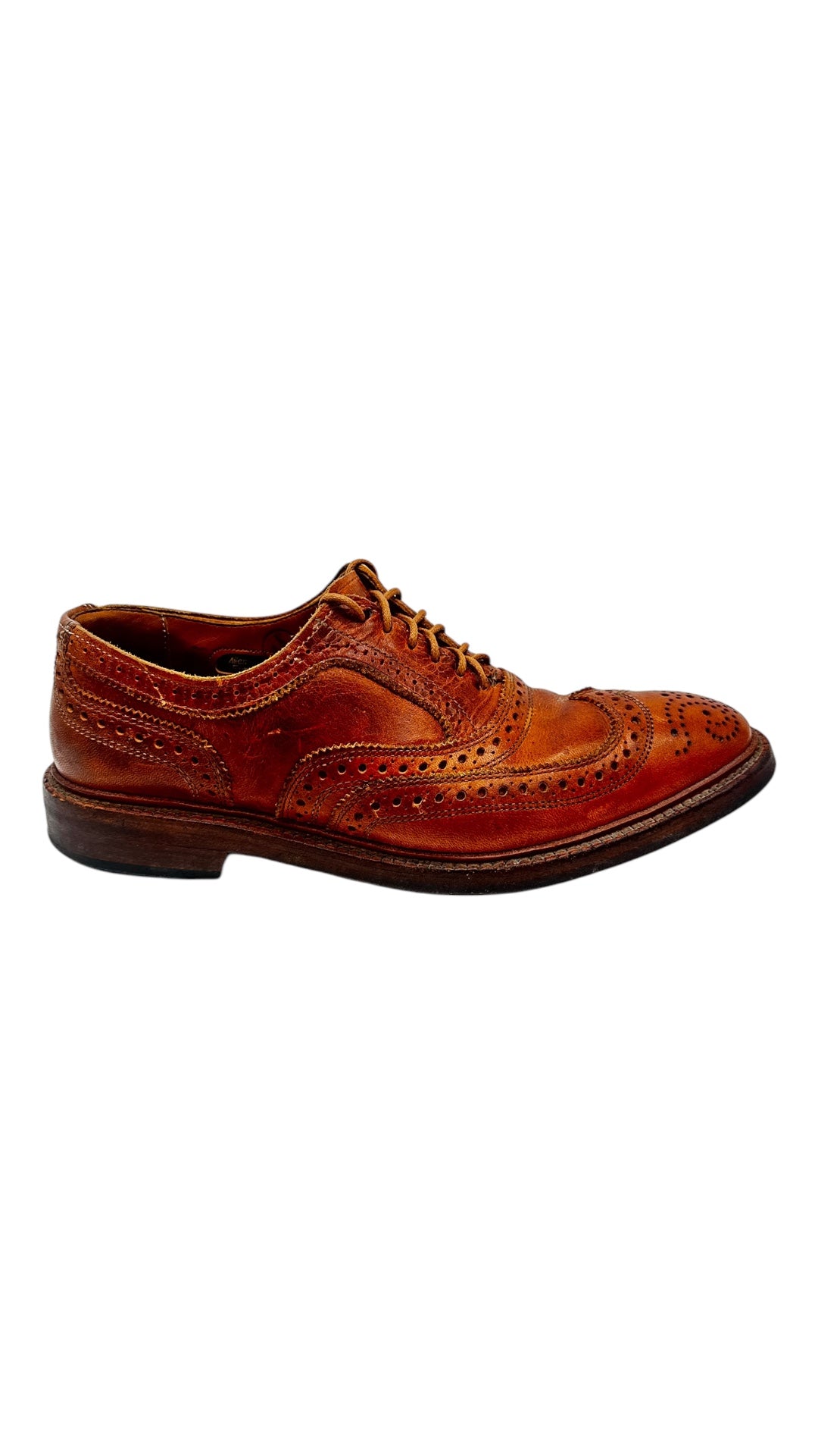 Allen Edmund Wingtip Oxford Dress Shoe Sz 8M