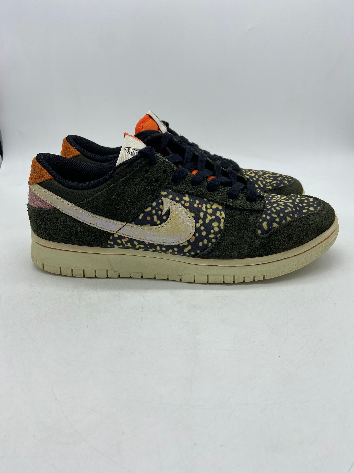 Preowned Nike Dunk Low SE Gone Fishing Rainbow Trout Sz 9M/10.5W FN7523-300