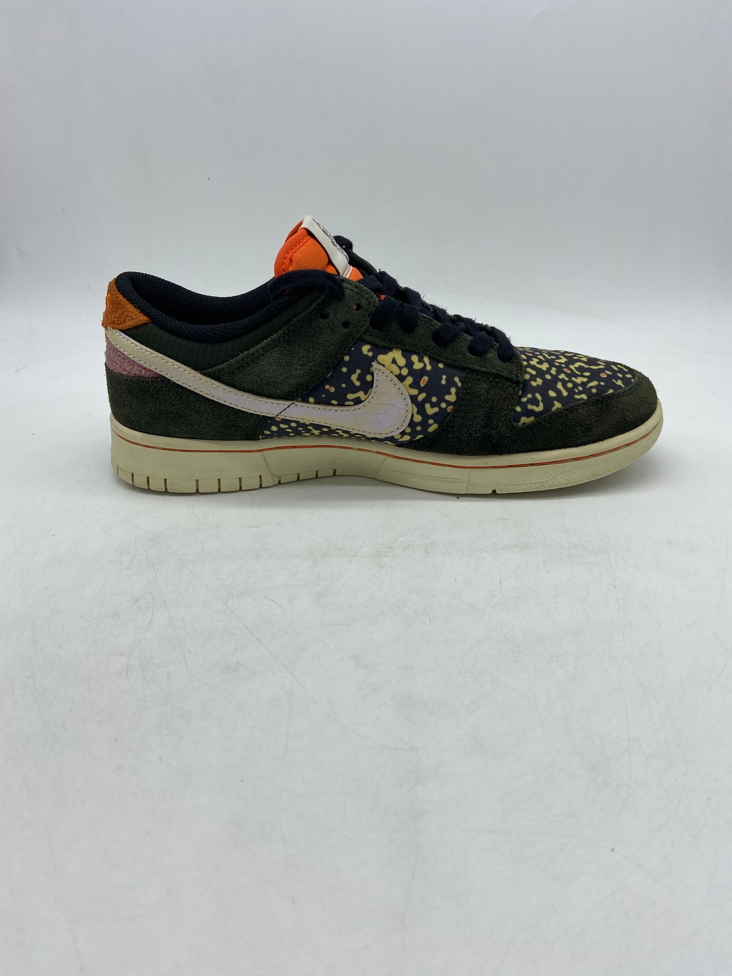 Preowned Nike Dunk Low SE Gone Fishing Rainbow Trout Sz 9M/10.5W FN7523-300