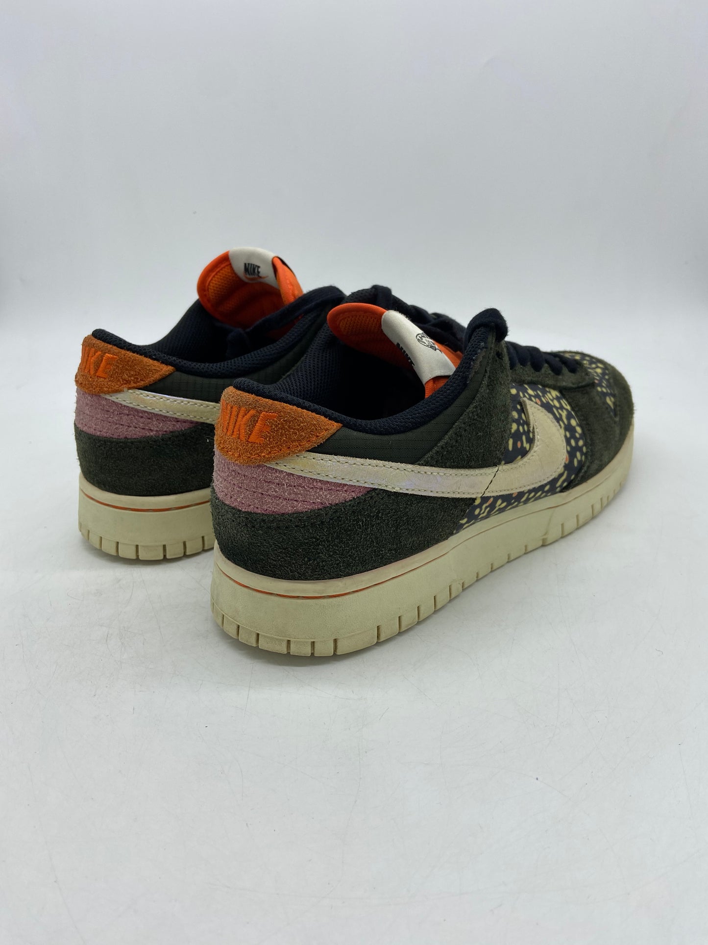 Preowned Nike Dunk Low SE Gone Fishing Rainbow Trout Sz 9M/10.5W FN7523-300