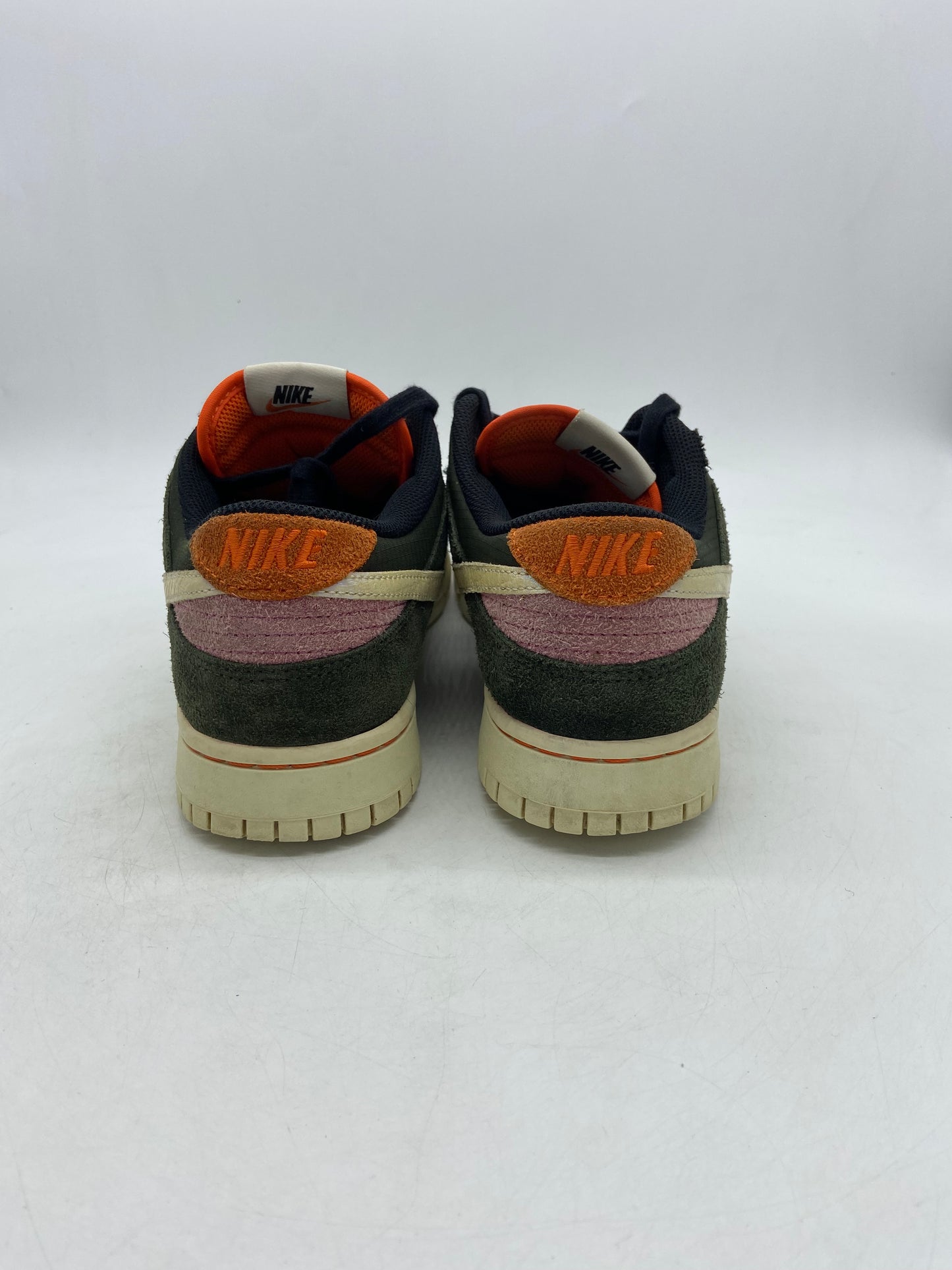 Preowned Nike Dunk Low SE Gone Fishing Rainbow Trout Sz 9M/10.5W FN7523-300