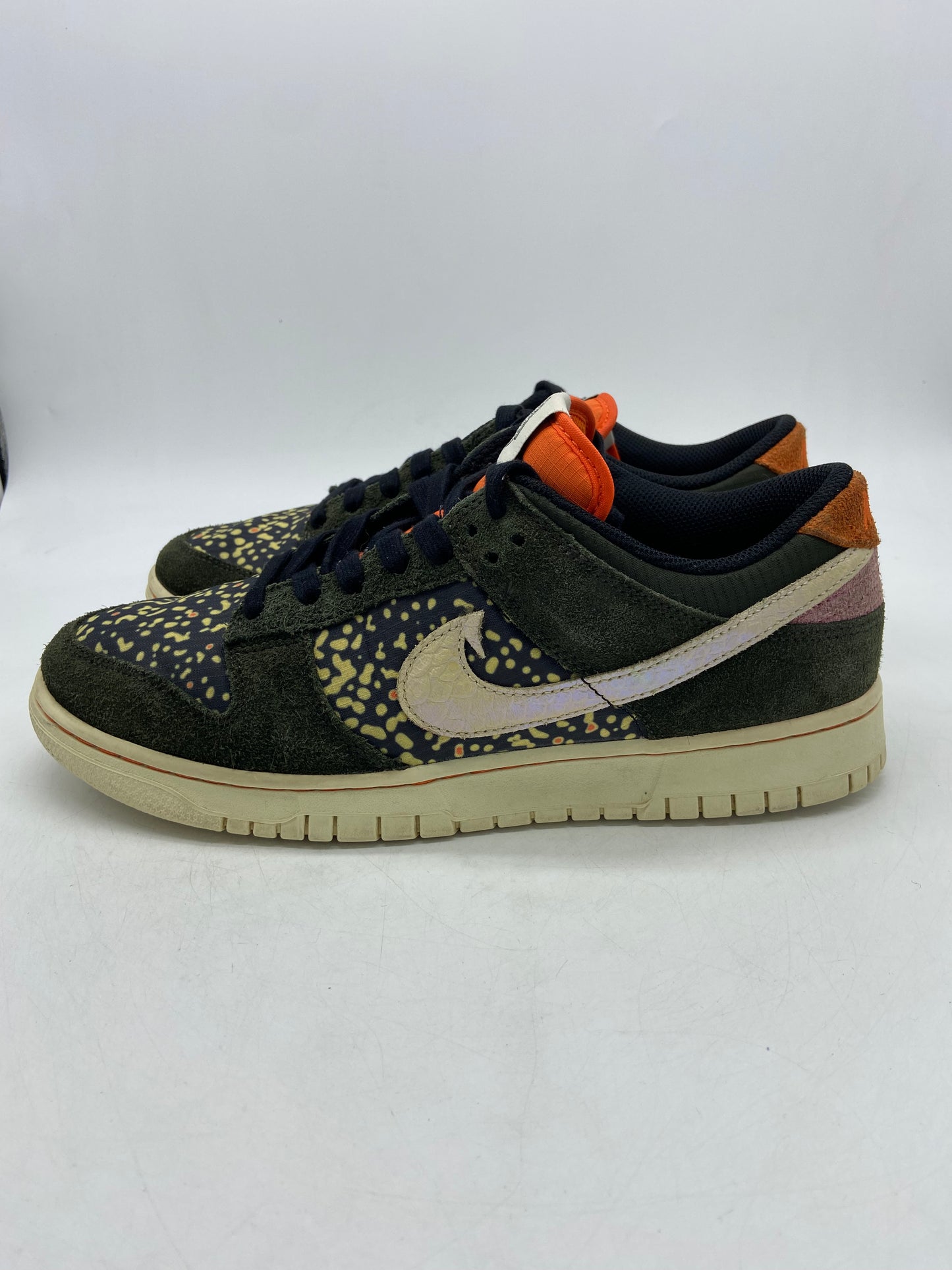 Preowned Nike Dunk Low SE Gone Fishing Rainbow Trout Sz 9M/10.5W FN7523-300