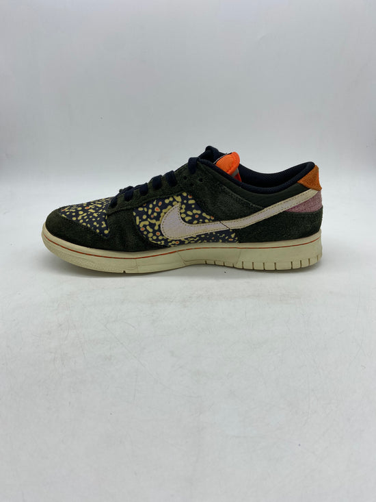 Preowned Nike Dunk Low SE Gone Fishing Rainbow Trout Sz 9M/10.5W FN7523-300