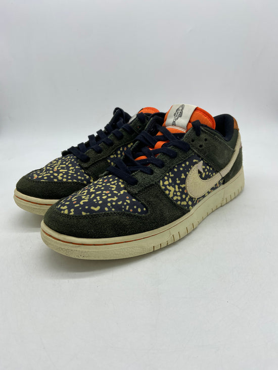 Preowned Nike Dunk Low SE Gone Fishing Rainbow Trout Sz 9M/10.5W FN7523-300