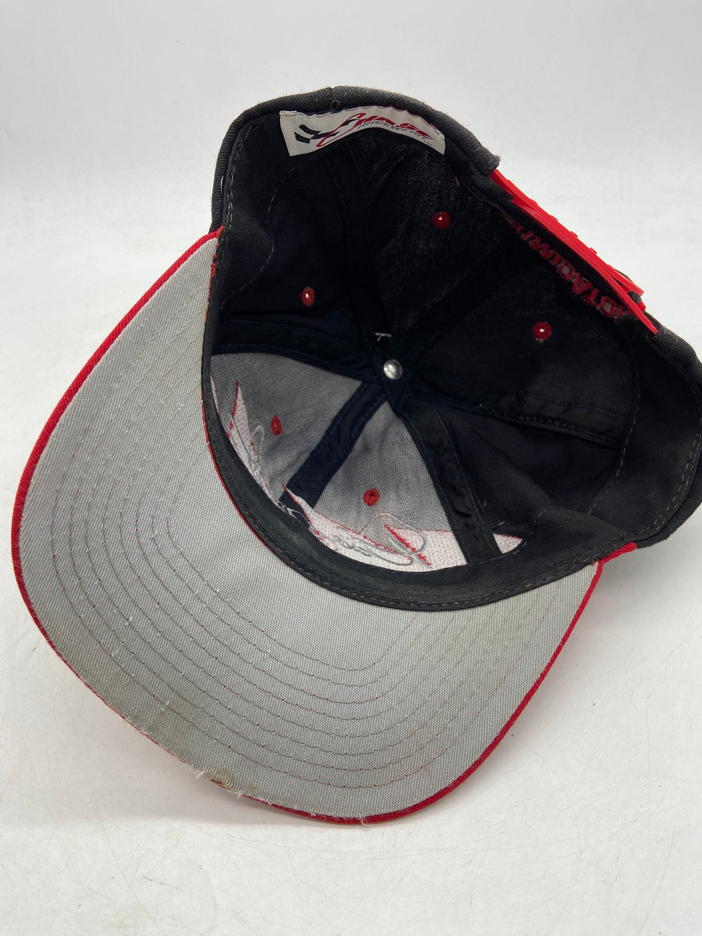 VTG Dale Earnhardt Chase Sharktooth Hat