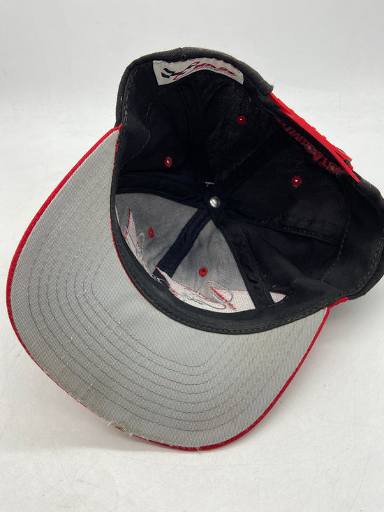 VTG Dale Earnhardt Chase Sharktooth Hat