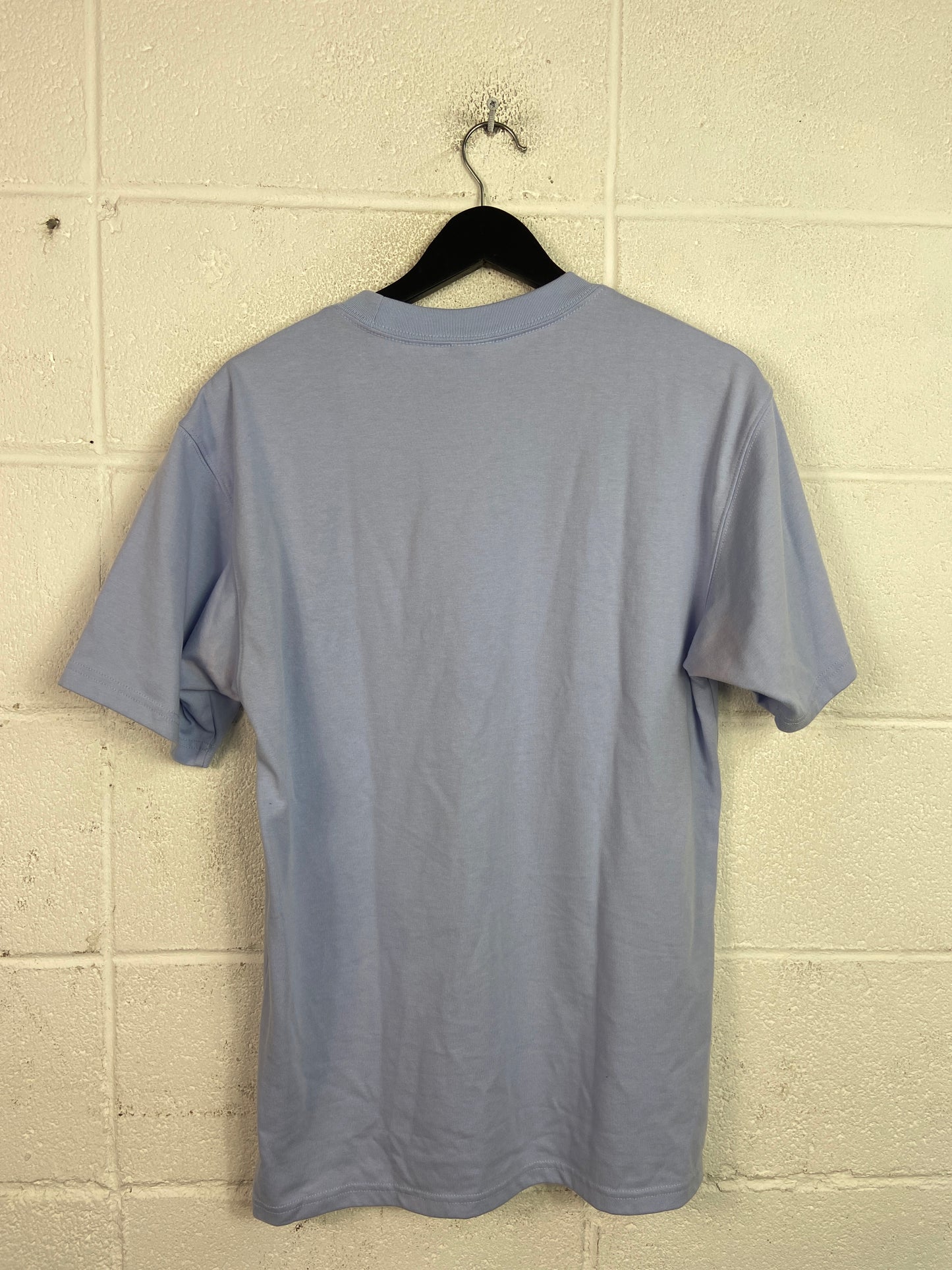Nike ACG Blue Tee Sz M