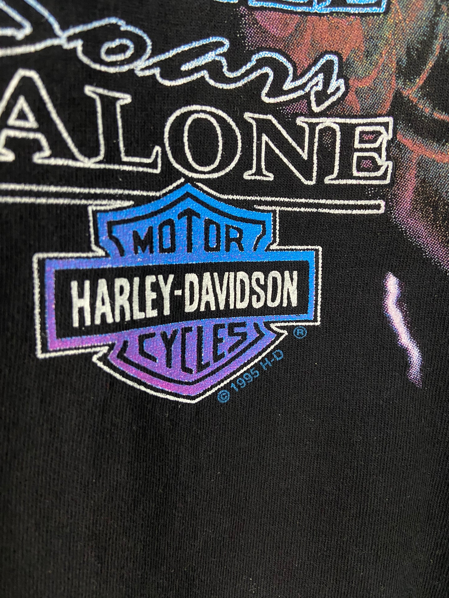 VTG Harley Davidson Eagle Soars Alone Tee Sz XXL