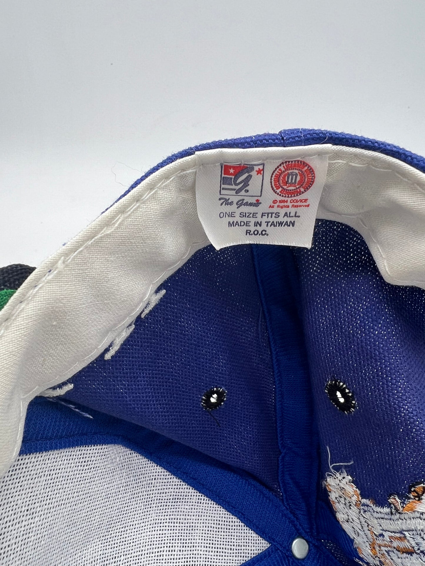 VTG The Game University of Kentucky Snapback