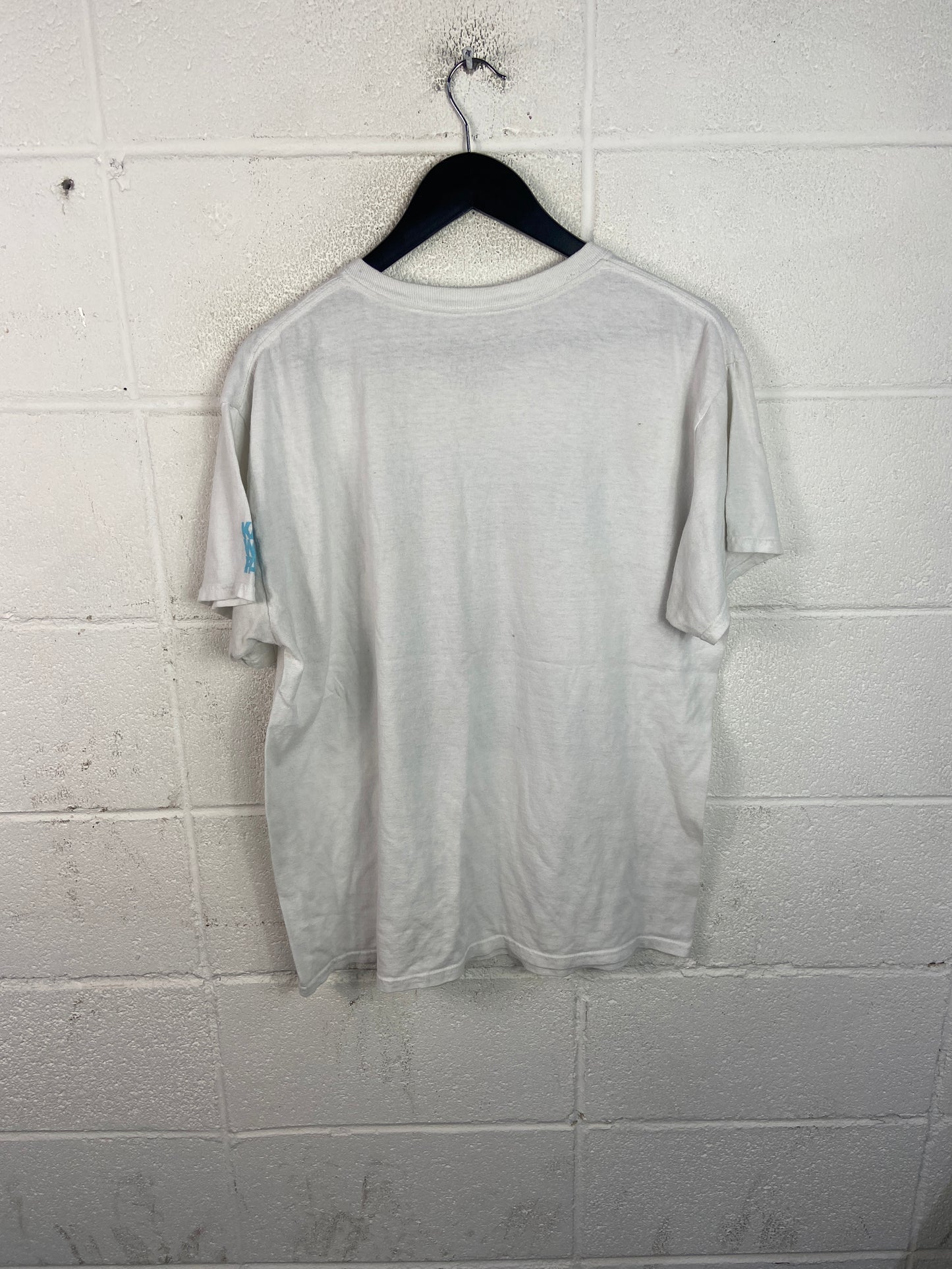 Kaws Brooklyn Museum Tee Sz L