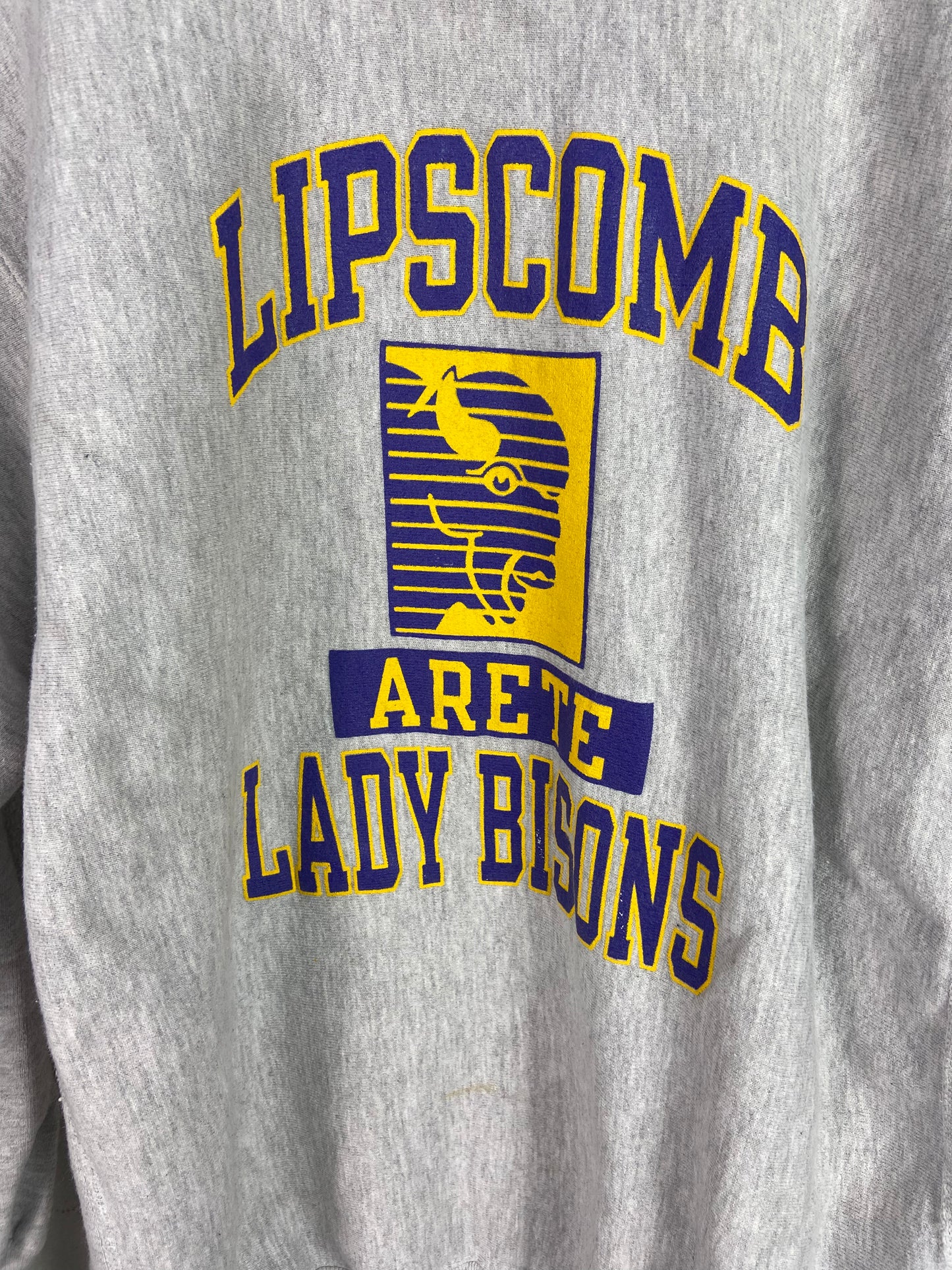 Vtg Champion Reverse Weave Lipscomb Lady Bisons Sweater Sz L