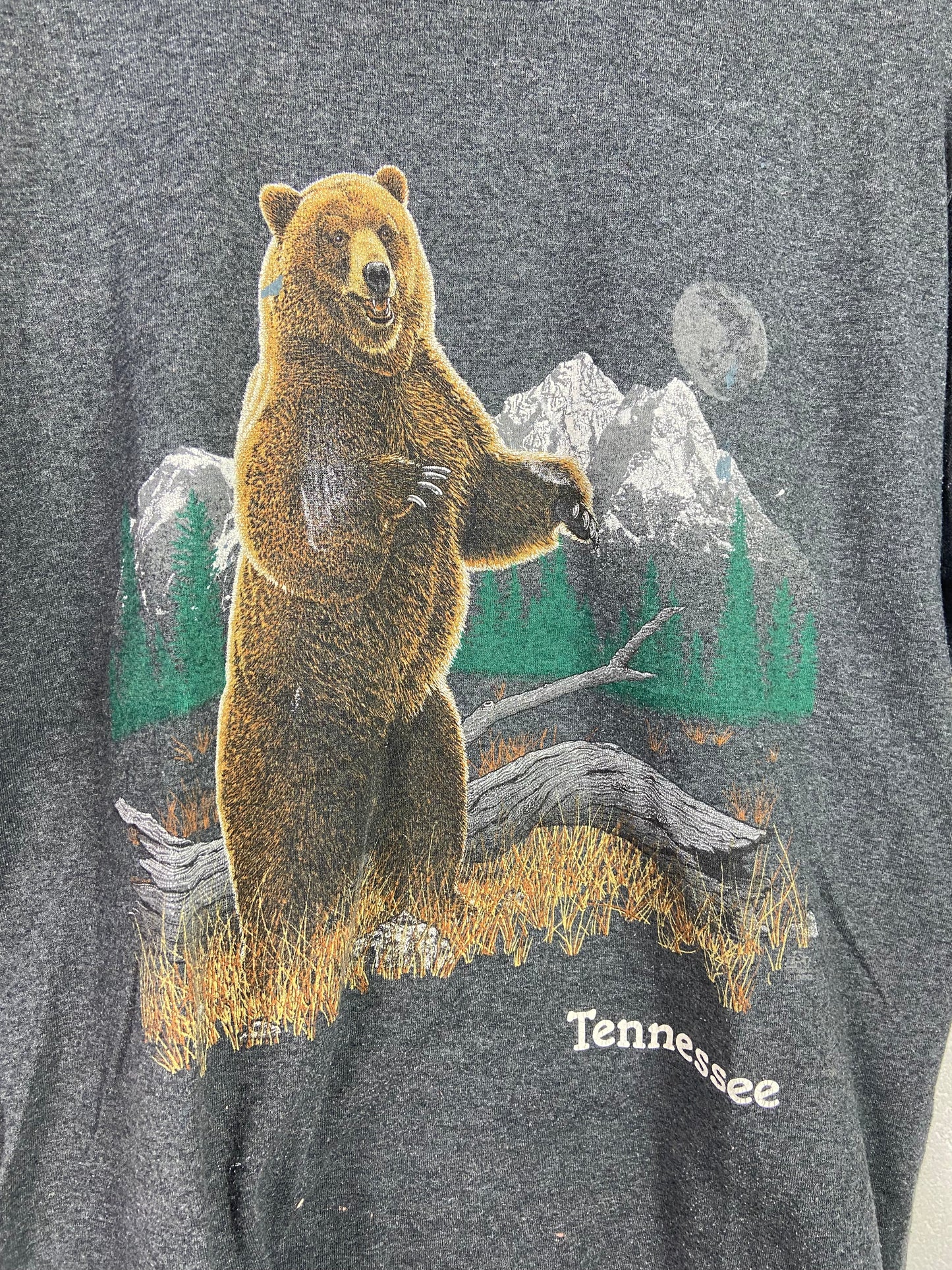 VTG Tennessee Bear Nature Tee Sz L