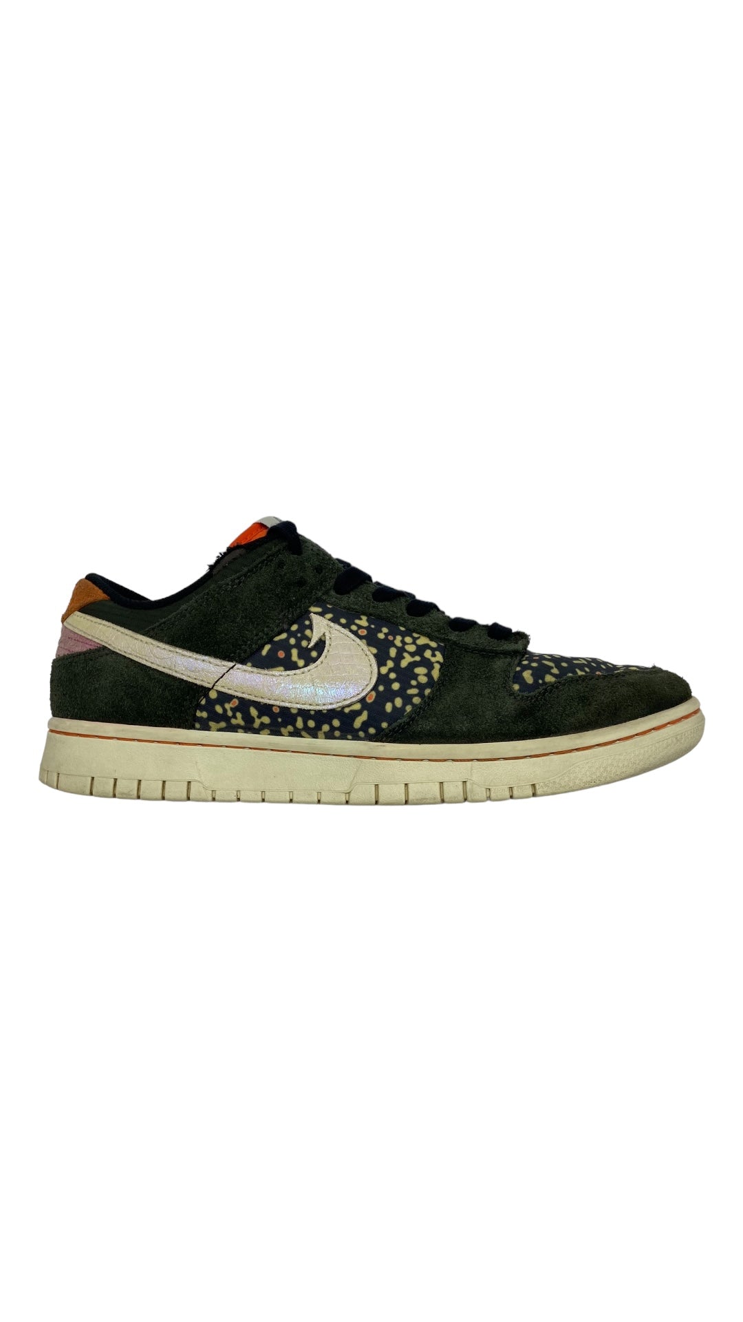 Preowned Nike Dunk Low SE Gone Fishing Rainbow Trout Sz 9M/10.5W FN7523-300