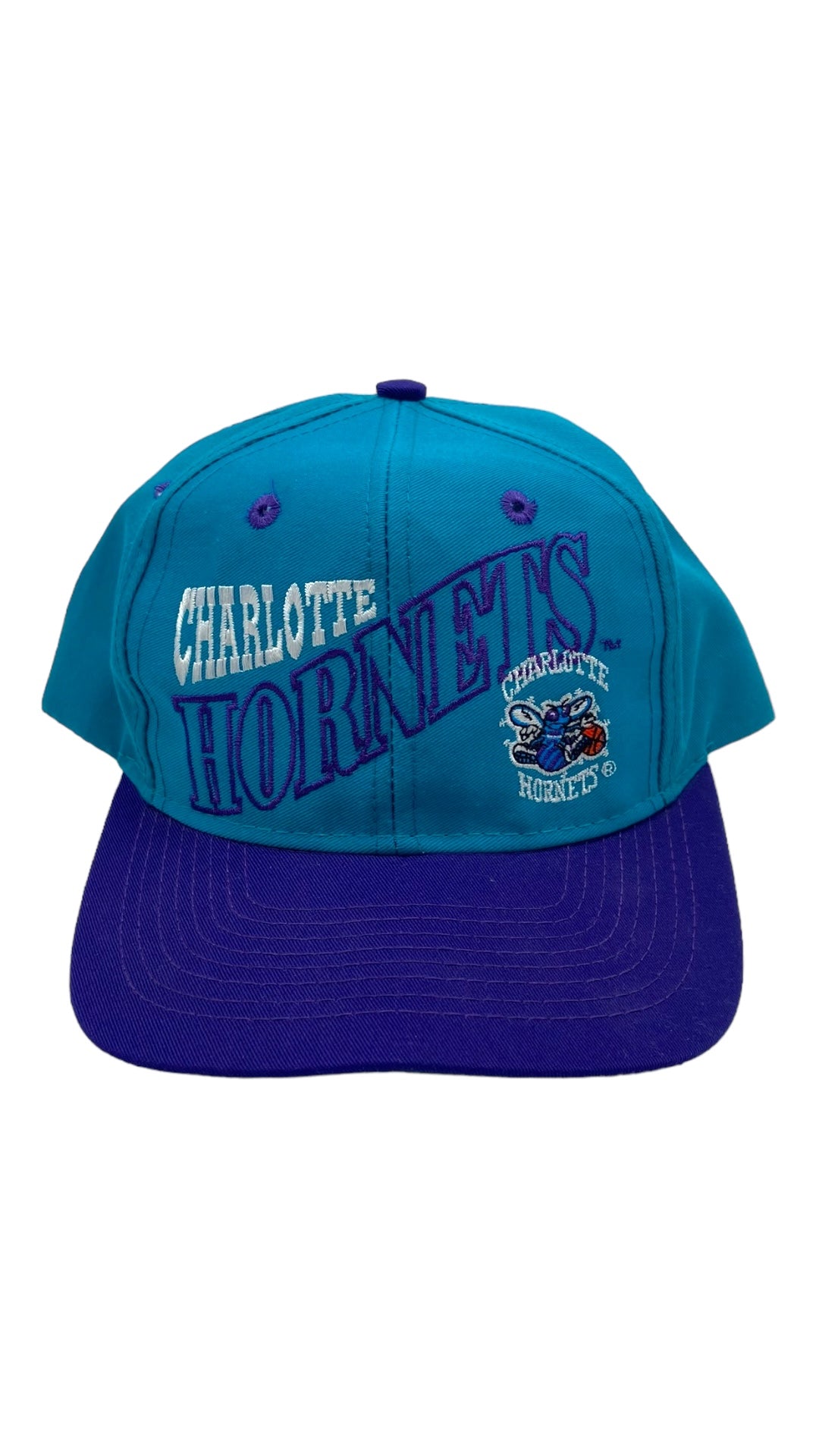 VTG Charlotte Hornets Wave Snapback by The Game