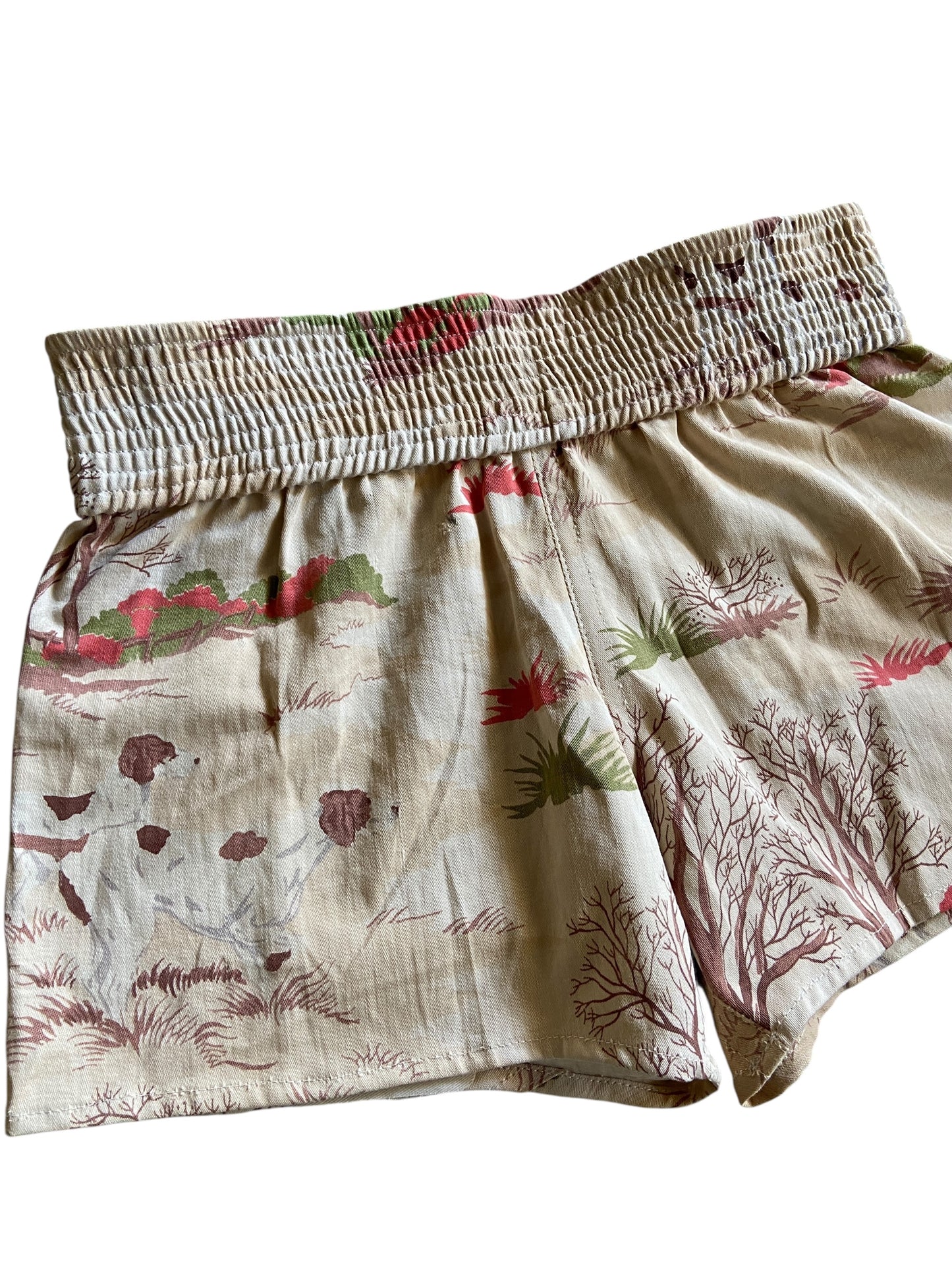 Reworked Muy Thai Shorts Dog On The Prairie by david turner
