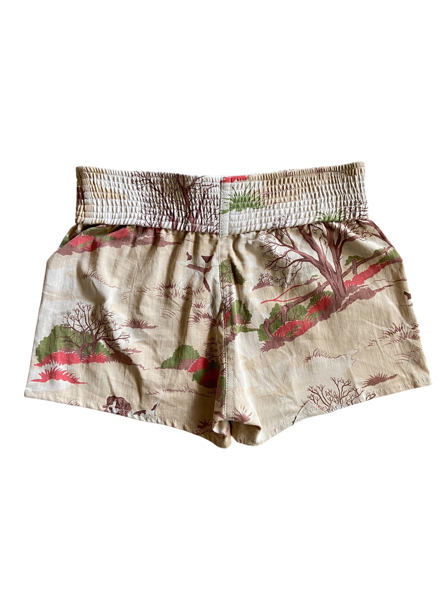 Reworked Muy Thai Shorts Dog On The Prairie by david turner