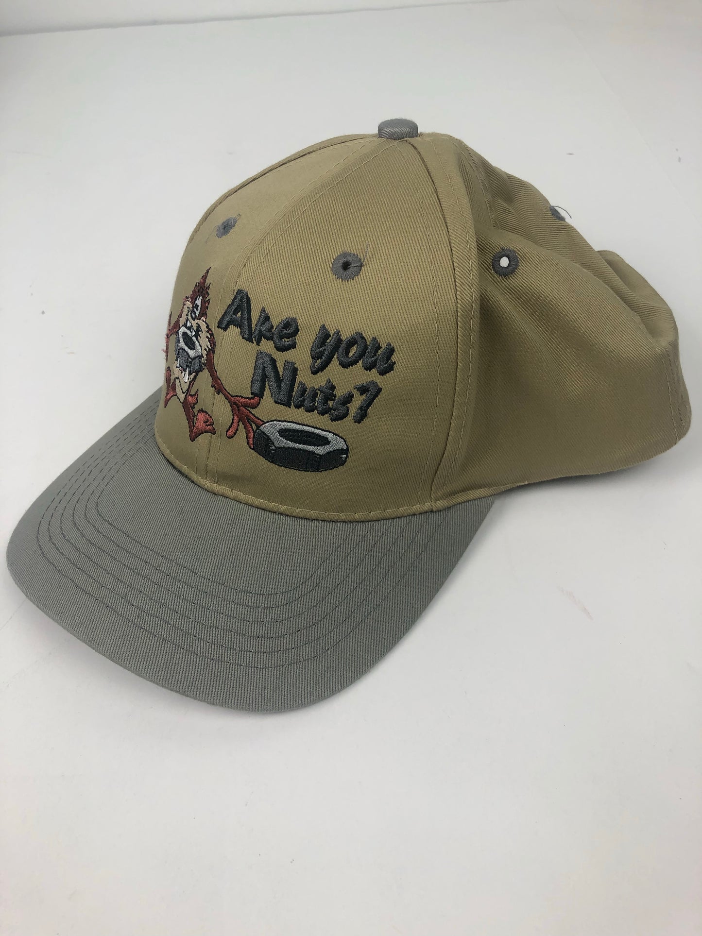 Vtg Taz "Are you Nuts?" Snapback