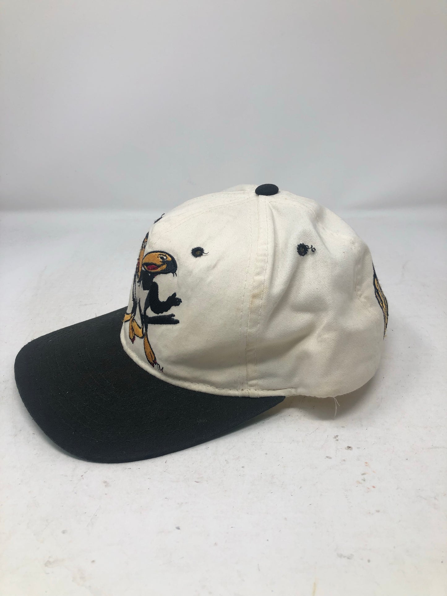 Vtg American Needle “Heckle & Jeckle” Blockhead Snapback